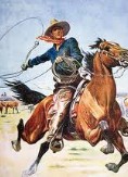 A Texas Cowboy; Or Fifteen Years on the Hurricane Deck of a Spanish Pony-Ӣı.txt