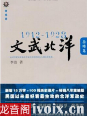 1912—1928：文武北洋·枭雄篇